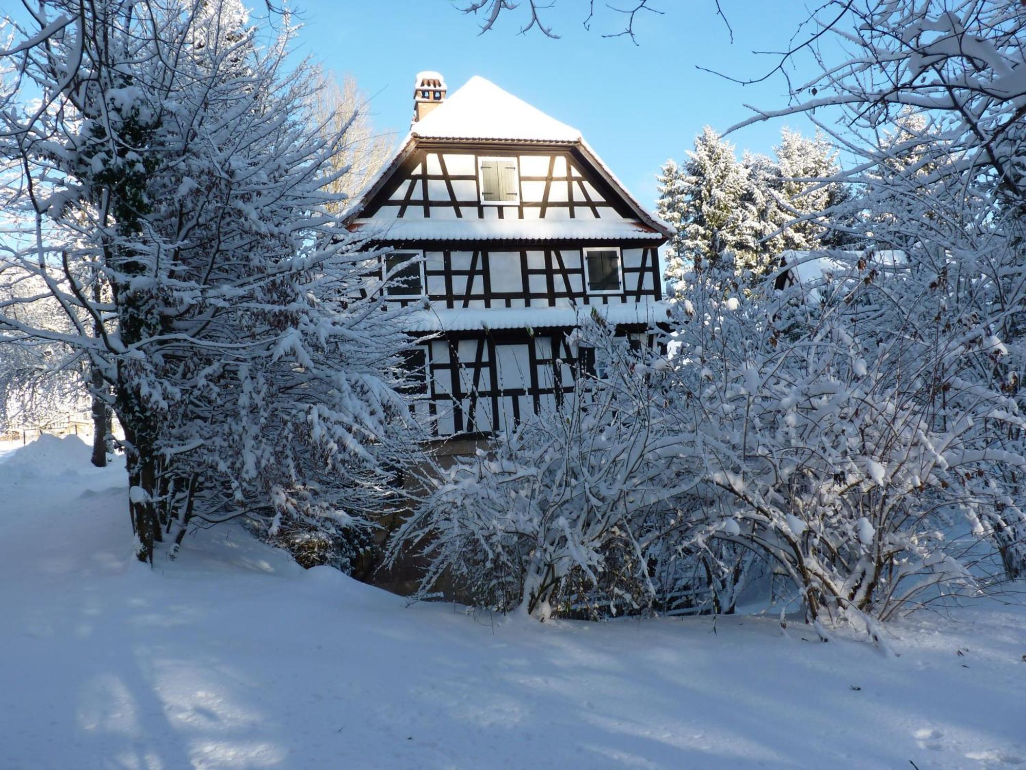 Ferme Auberge Du Moulin Des Sept Fontaines Drachenbronn-Birlenbach Buitenkant foto