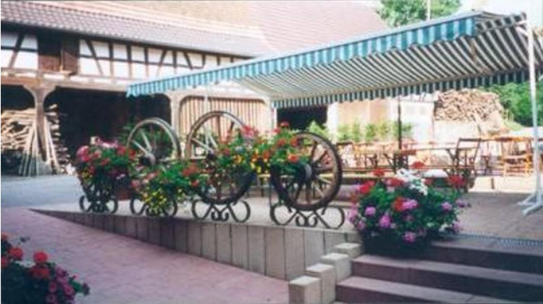 Ferme Auberge Du Moulin Des Sept Fontaines Drachenbronn-Birlenbach Buitenkant foto