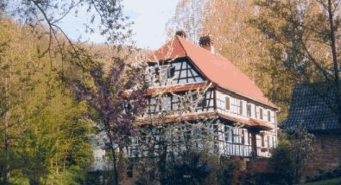 Ferme Auberge Du Moulin Des Sept Fontaines Drachenbronn-Birlenbach Buitenkant foto